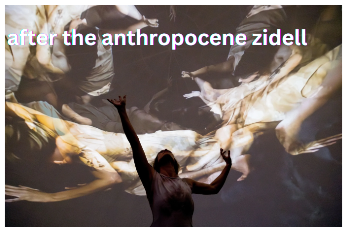 after the anthropocene zidell