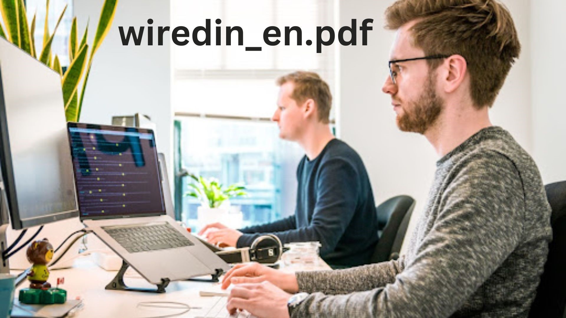 wiredin_en.pdf