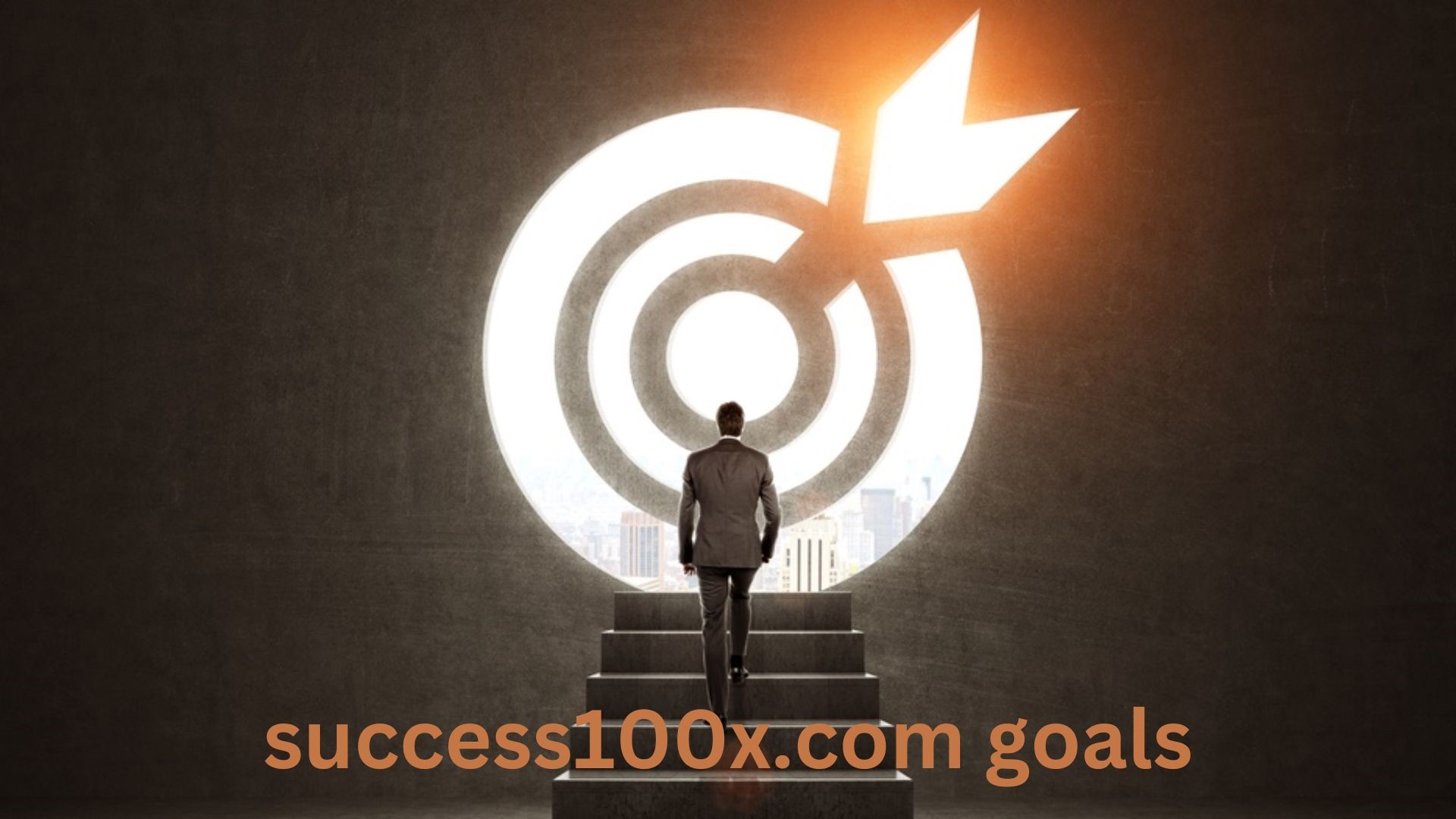 Success100x.com goals