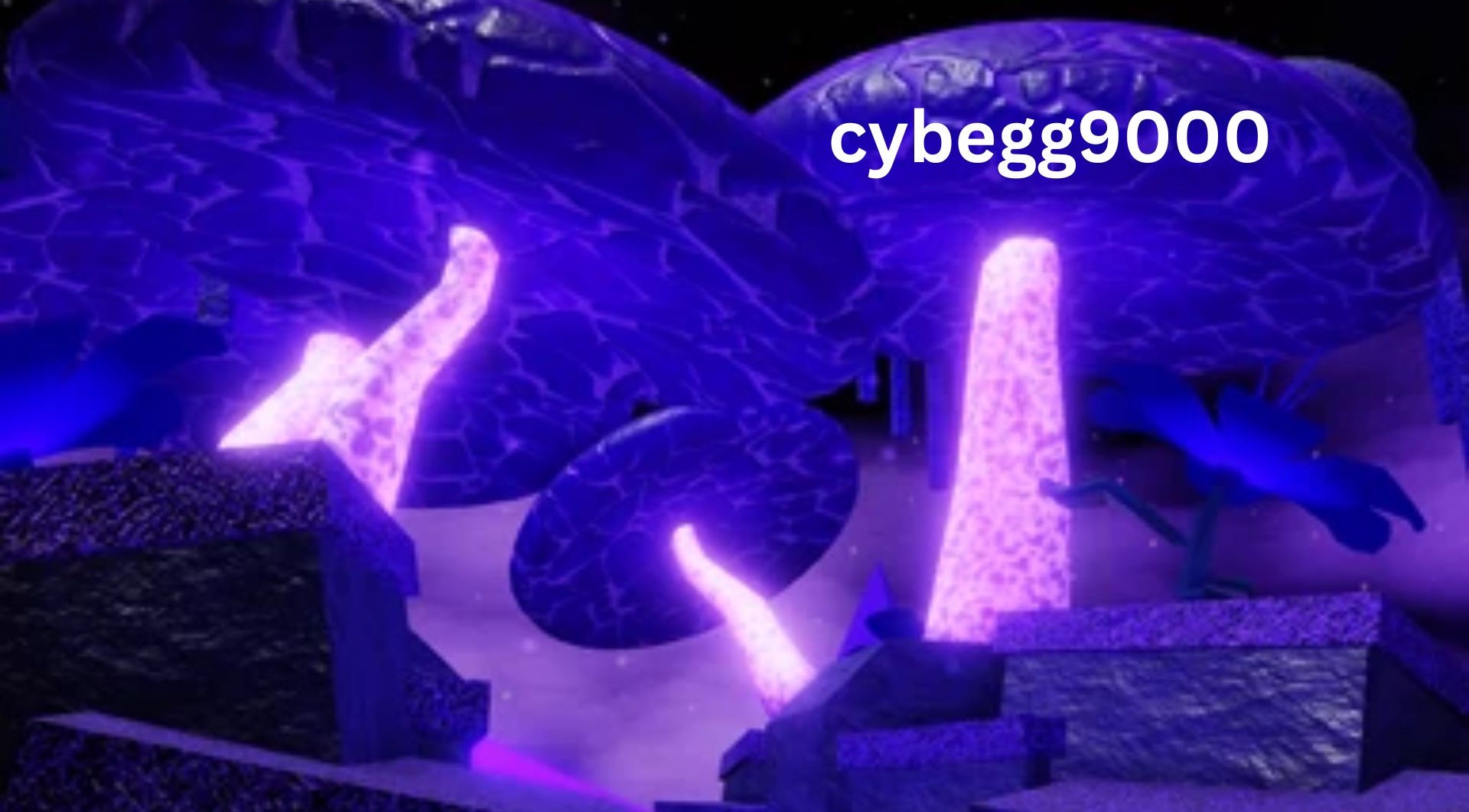 Cybegg9000