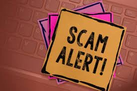 From Financial Fraud to Fake CVs How Risk Consultants Help You Stay Safe